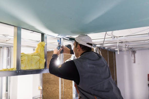 Best Insulation Installation Services in Marianna, FL